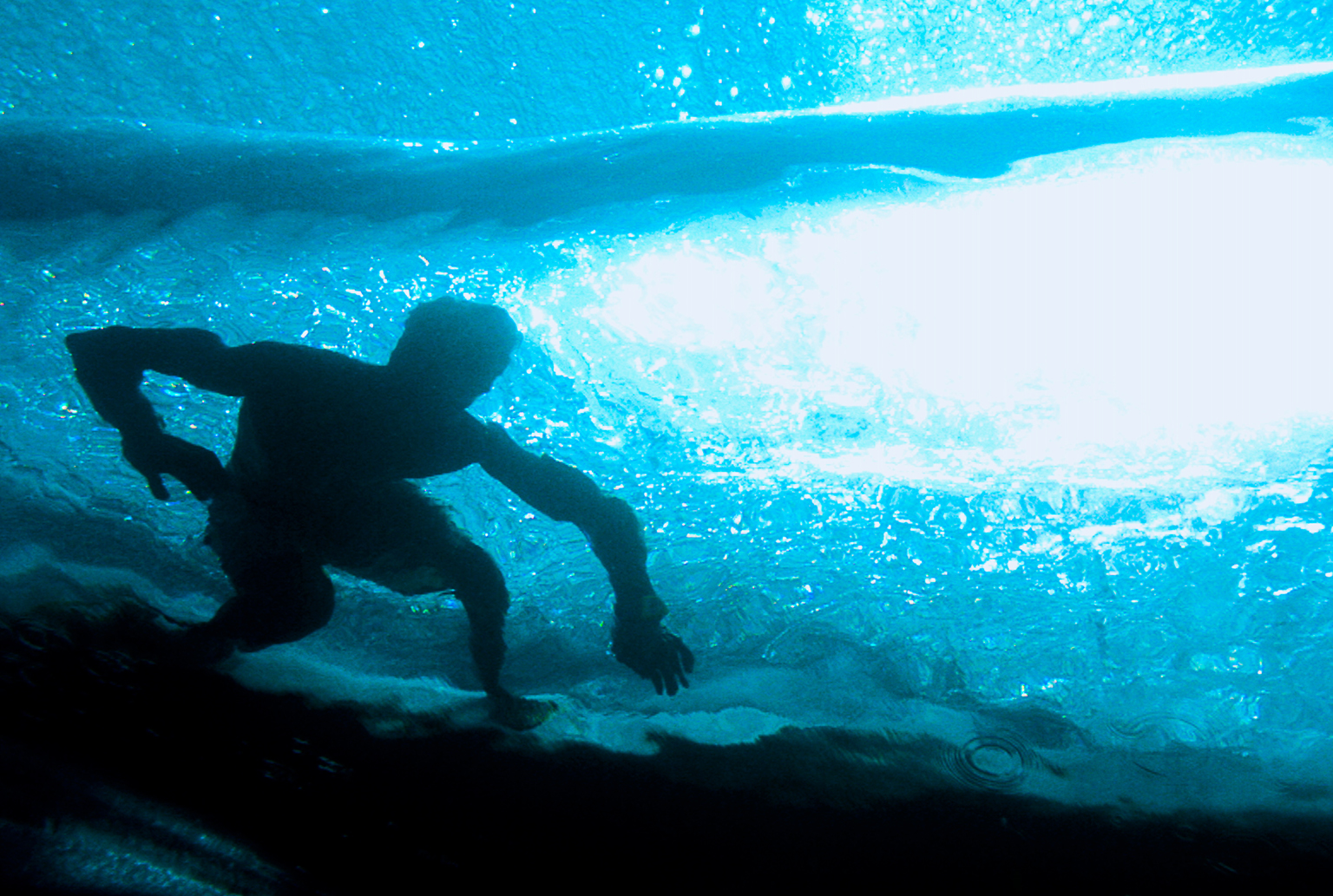 reef-exit-image-1