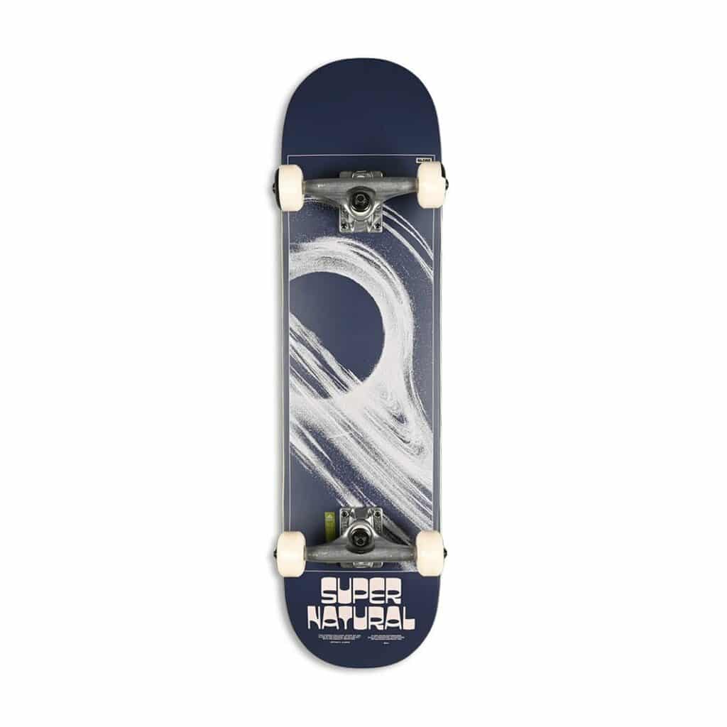 Globe Skateboards Pintail Complete