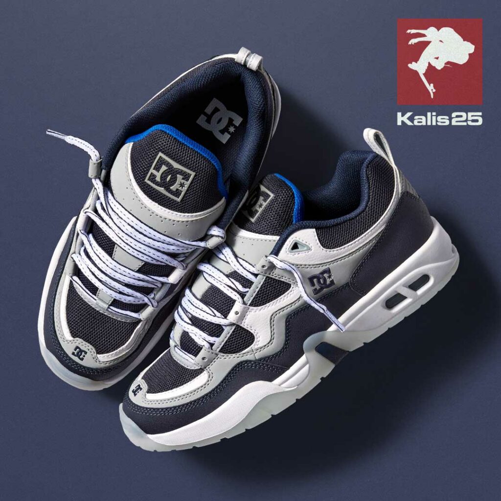DC Kalis Truth Skate Shoes