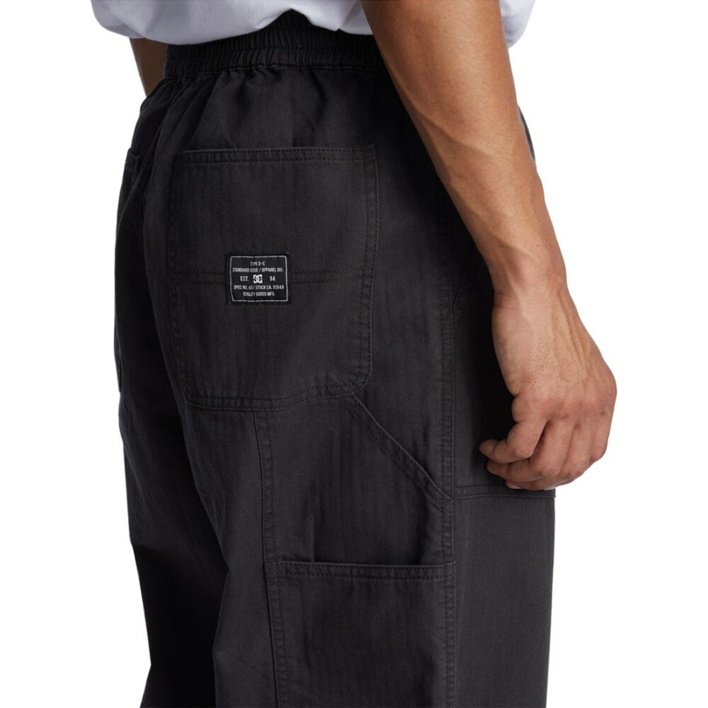 DC Mechanic 3 Carpenter Pants - Pirate Black