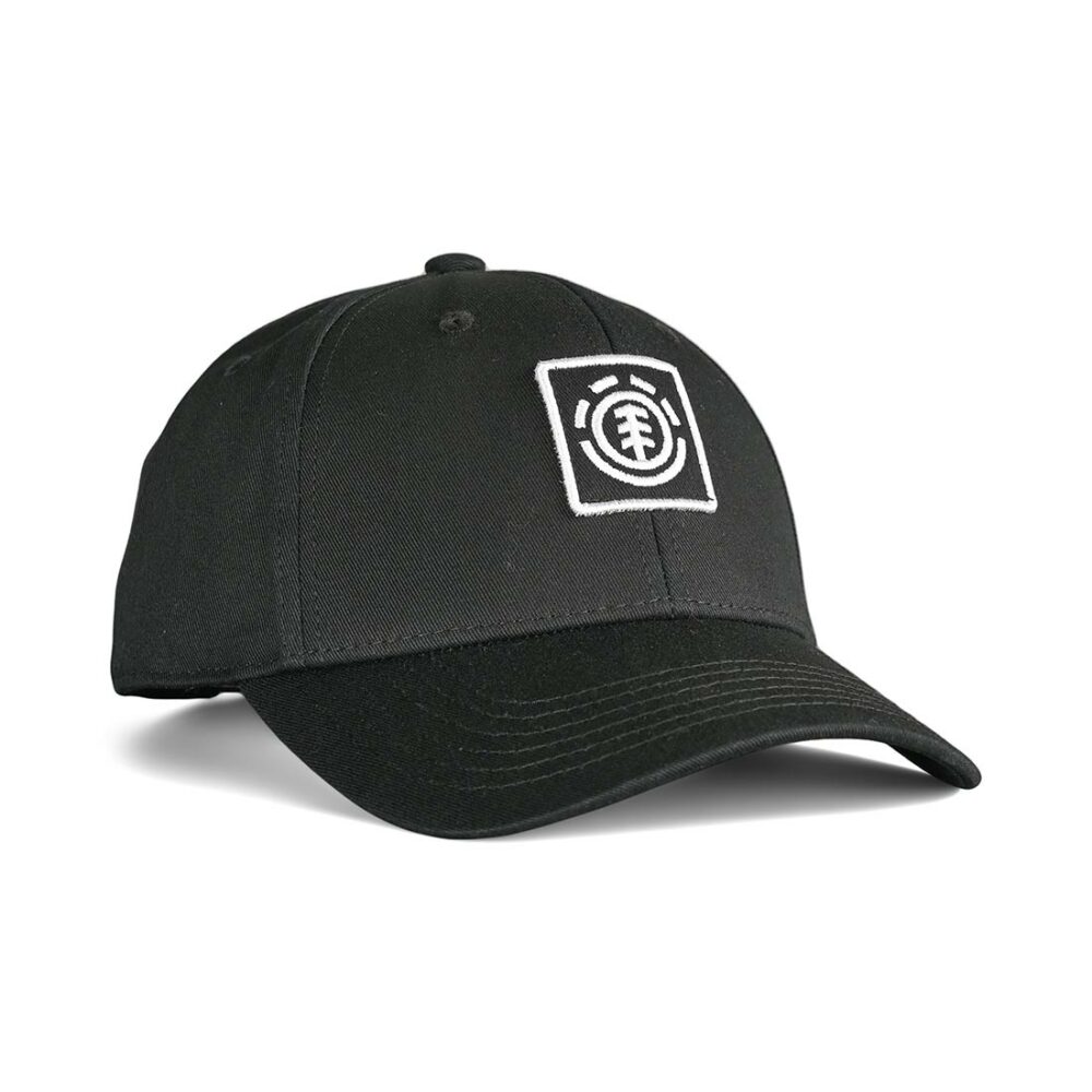 Element Treelogo (Youth) Snapback Cap - Flint Black