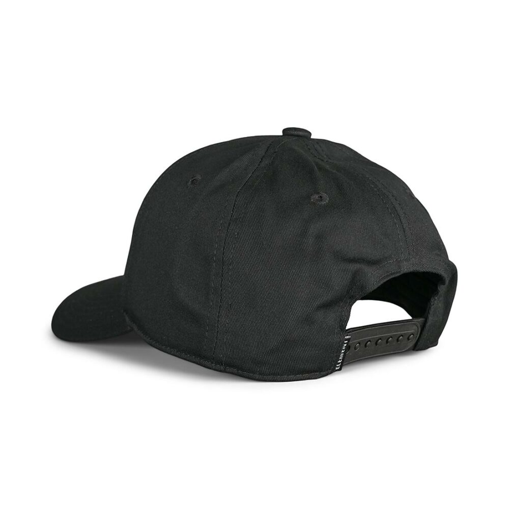 Element Treelogo 2.0 Snapback Cap - Flint Black