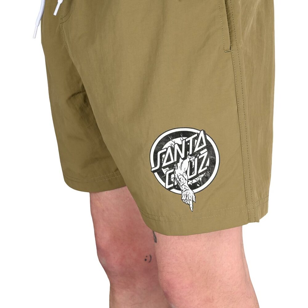Santa Cruz Roskopp Evo 2 Swim Shorts - Sea Kelp