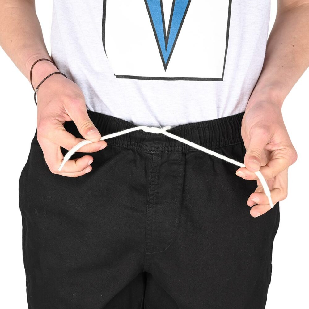 Santa Cruz Short Painter Shorts - Black