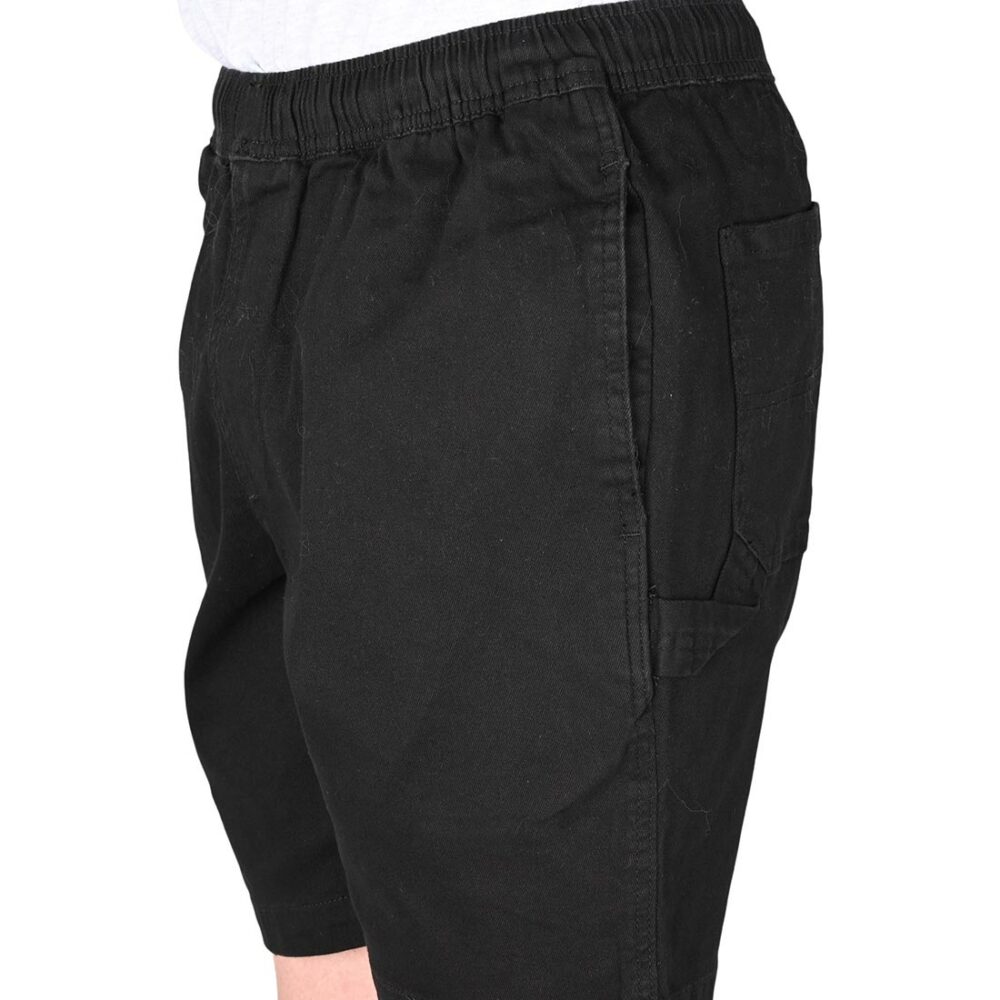 Santa Cruz Short Painter Shorts - Black