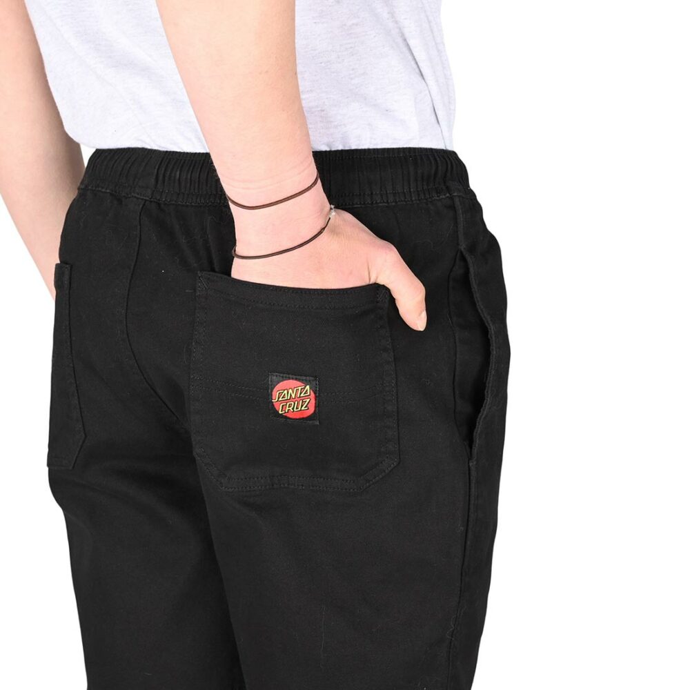 Santa Cruz Short Painter Shorts - Black