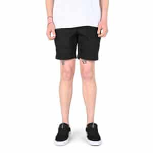 Santa Cruz Short Painter Shorts - Black