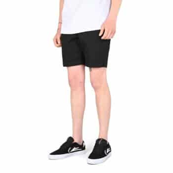 Santa Cruz Short Painter Shorts - Black