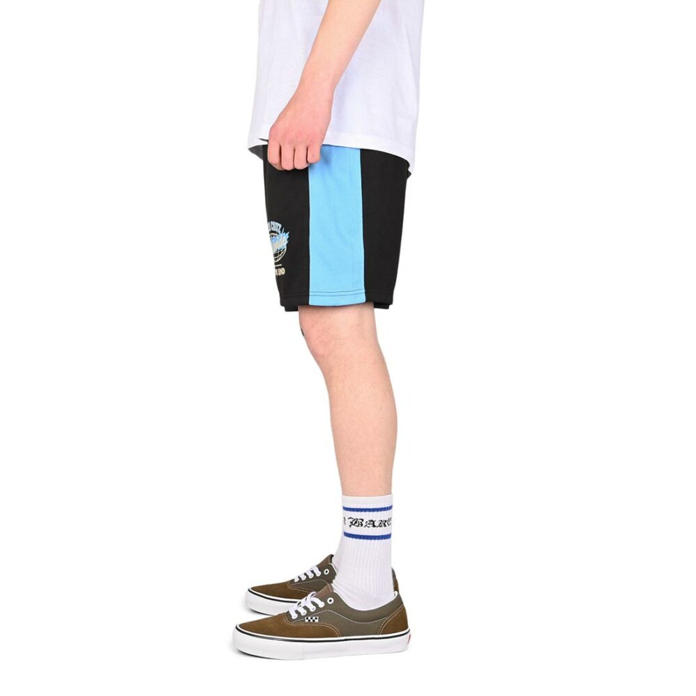 Santa Cruz Opus Dot Mesh Shorts - Blue