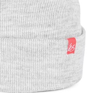 eS Block Beanie - Grey/Heather