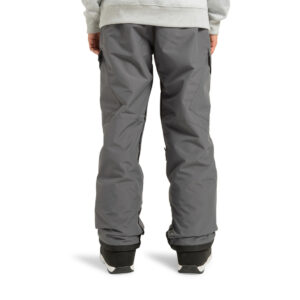 DC Banshee Technical Snow Pants - Magnet - Supereight