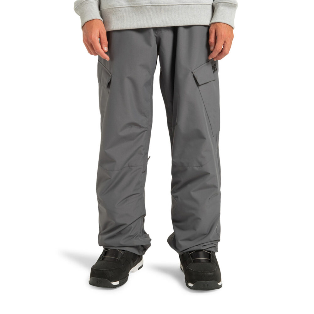 DC Banshee Technical Snow Pants - Magnet