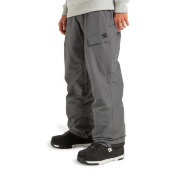 DC Banshee Technical Snow Pants - Magnet