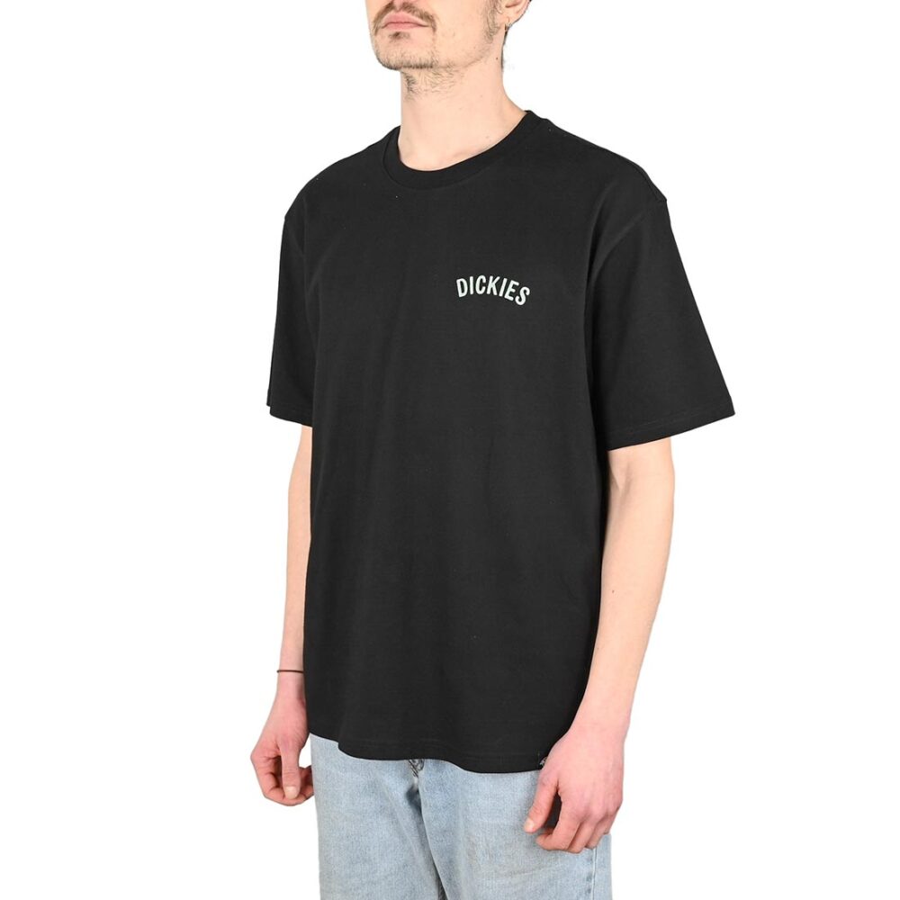 Dickies Snake S/S T-Shirt - Black
