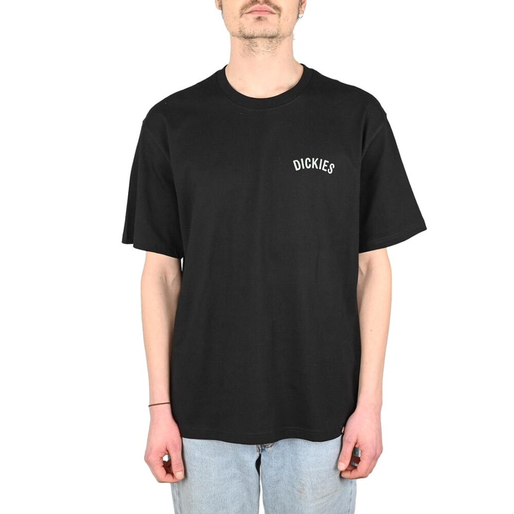 Dickies Snake S/S T-Shirt - Black