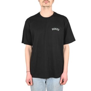Dickies Snake S/S T-Shirt - Black