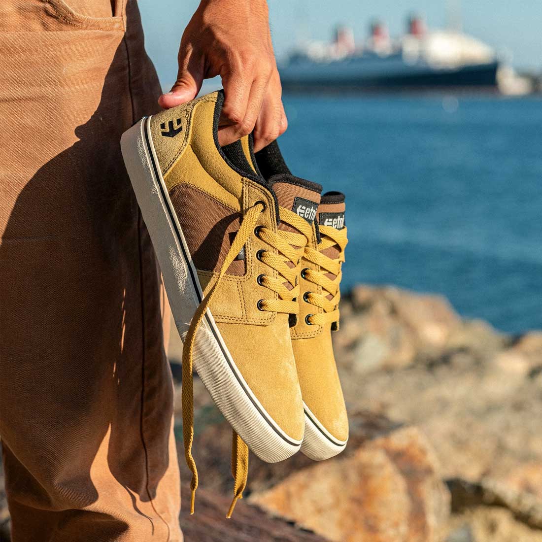 Etnies Barge shoes