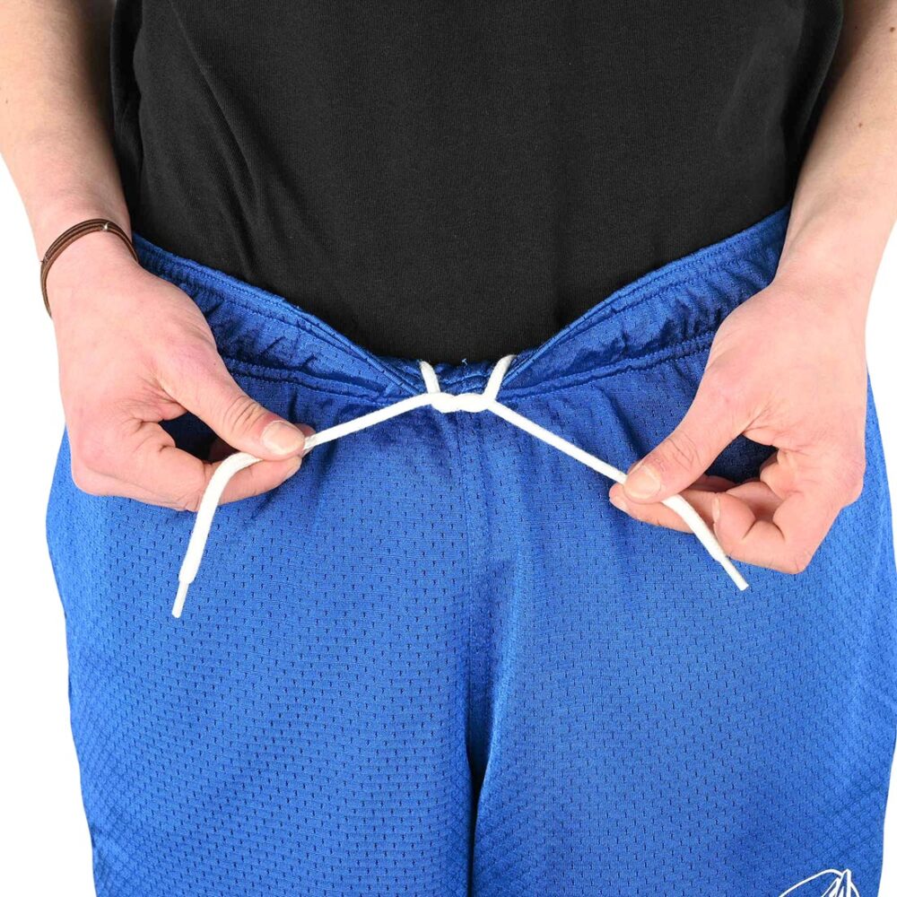Santa Cruz Opus Dot Mesh Shorts - Blue