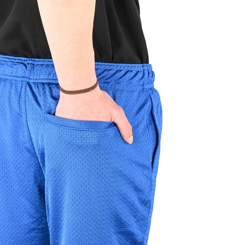Santa Cruz Opus Dot Mesh Shorts - Blue