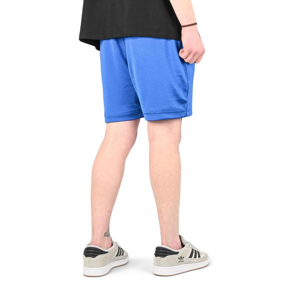 Santa Cruz Opus Dot Mesh Shorts - Blue