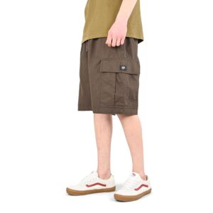 Vans Range Cargo Loose Shorts - Turkish Coffee