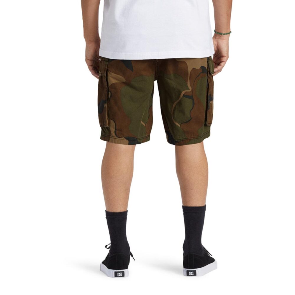 DC Tundra Cargo Shorts - Abstract Camo