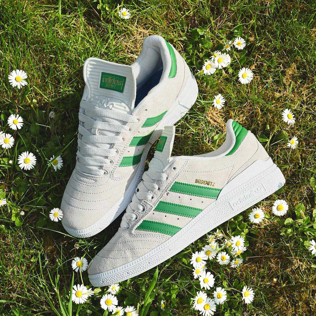 Adidas Busenitz