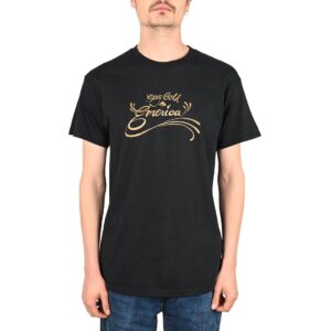 Emerica Stay Gold Sweep S/S T-Shirt - Black