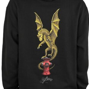 Powell Peralta Andy Anderson Vajra Pullover Hoodie - Black
