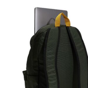 Vans Old Skool 22L Backpack - Dried Kelp