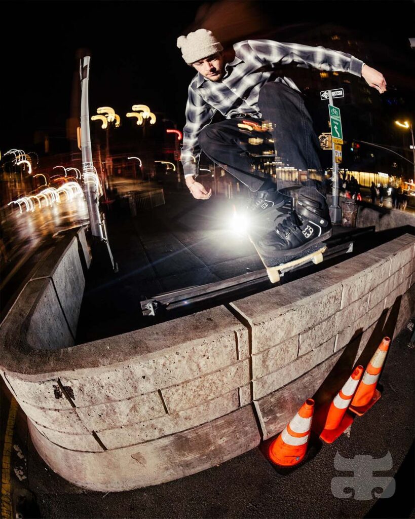 IPATH Grasshopper Skate shoes