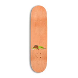 Enjoi Spectrum R7 8.5" Skateboard Deck - Black