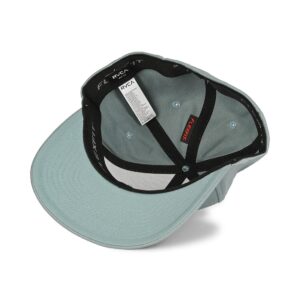 RVCA Flex Fit Cap - Lead