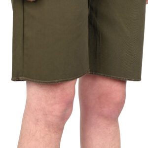 Anti Hero Hecho Por Skate Chino Shorts - Dark Olive