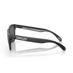 Oakley Frogskin Polarised Sunglasses - Matte Black/Prizm Black