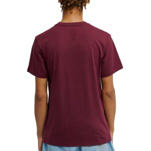 DC Star Short-Sleeved T-Shirt - Fig